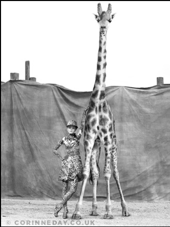 Screen shot 2010-08-29 at 5.38.33 PM