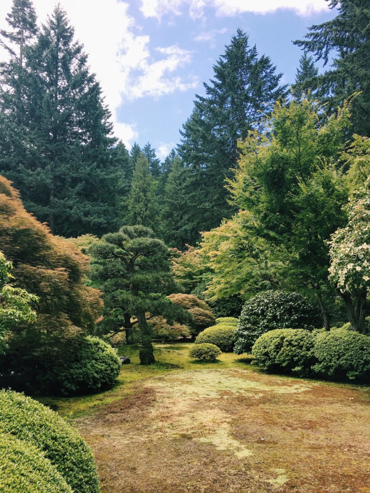 Processed with VSCO with c1 preset