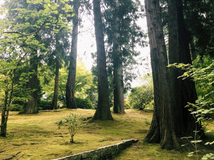 Processed with VSCO with c1 preset