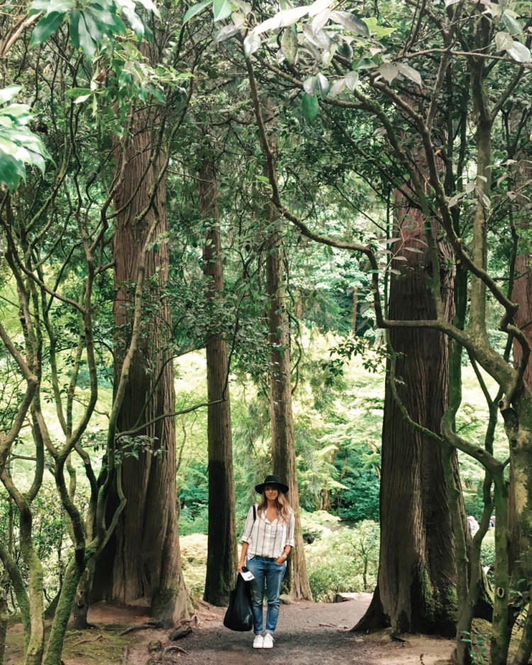 Processed with VSCO with kk1 preset