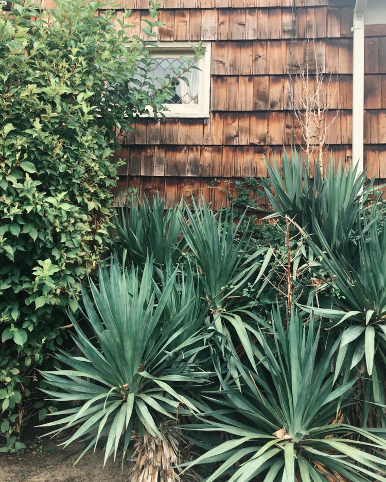 Processed with VSCO with kk1 preset