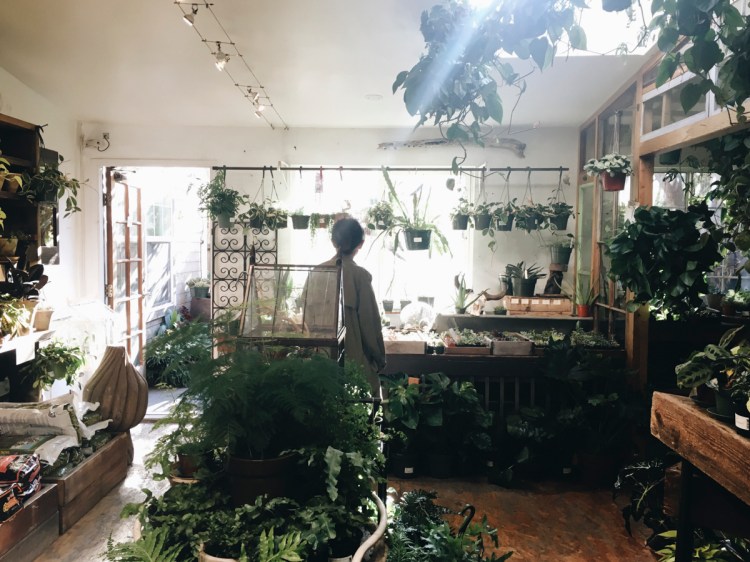 Processed with VSCO with a6 preset