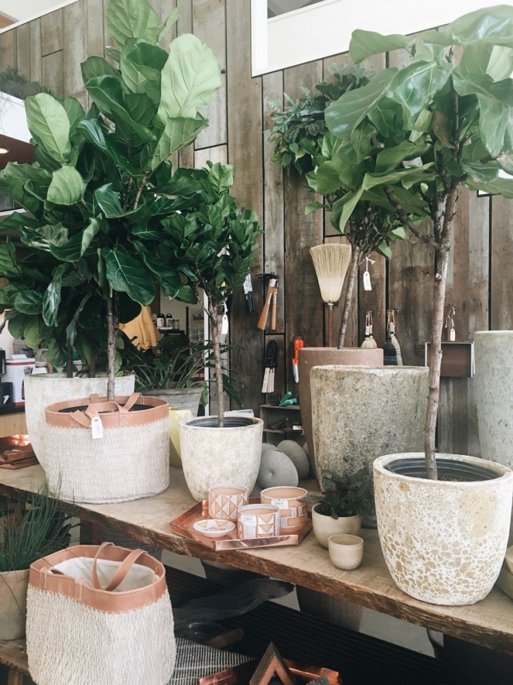 Processed with VSCO with a6 preset