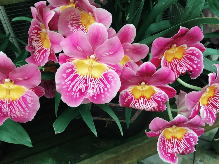 Processed with VSCO with kk1 preset