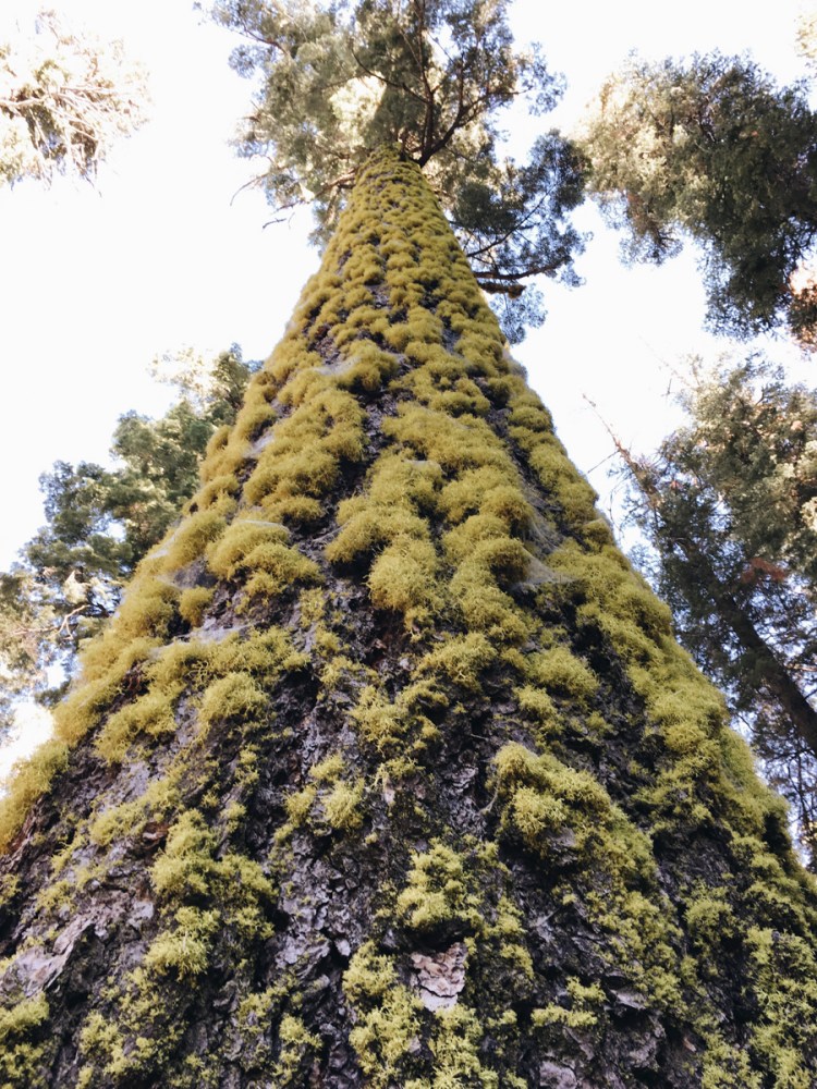 Processed with VSCO with a6 preset