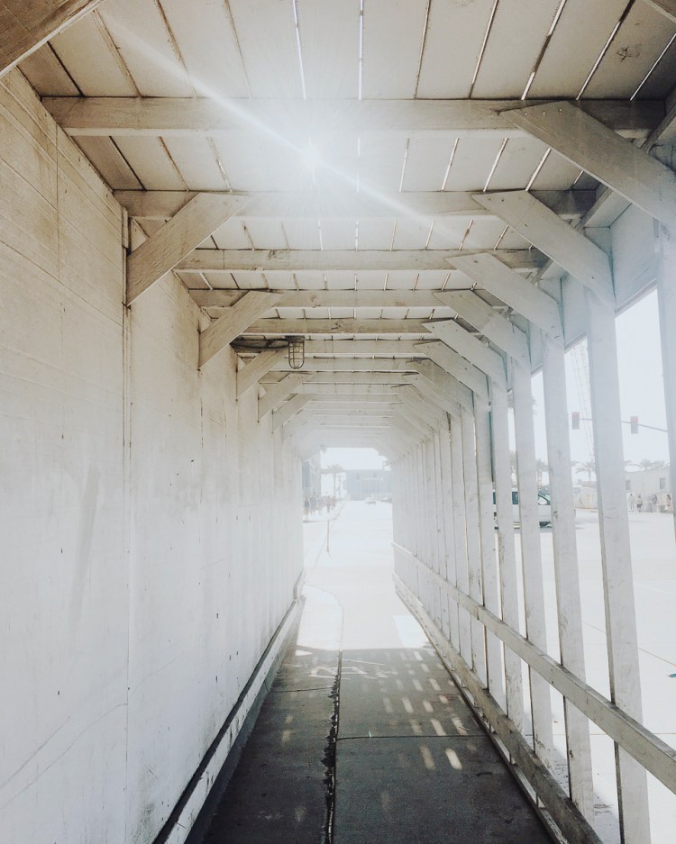 Processed with VSCO with m5 preset