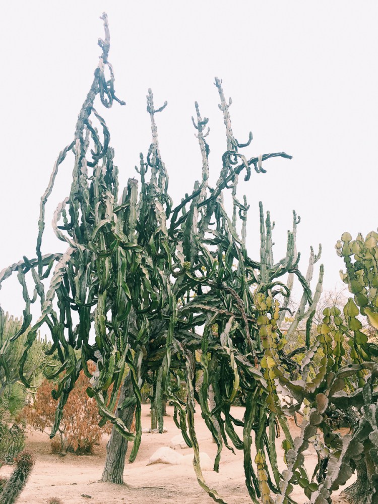 Processed with VSCO with c1 preset