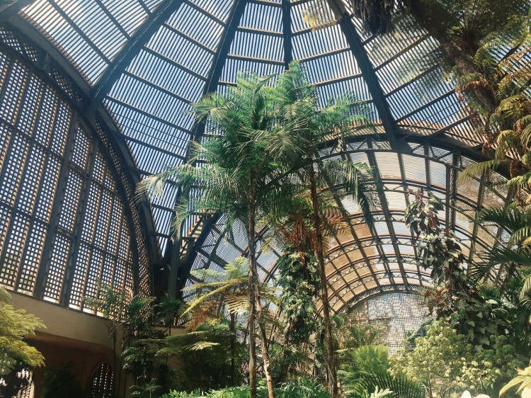 Processed with VSCO with kk1 preset