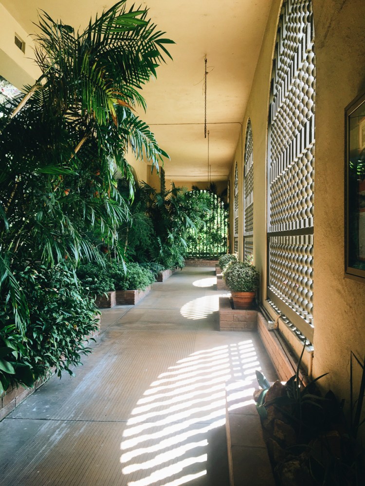 Processed with VSCO with a6 preset