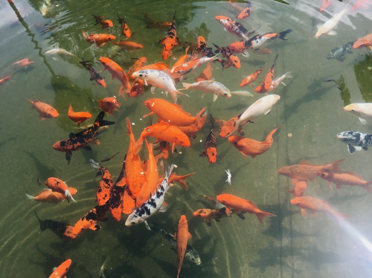 Processed with VSCO with a6 preset