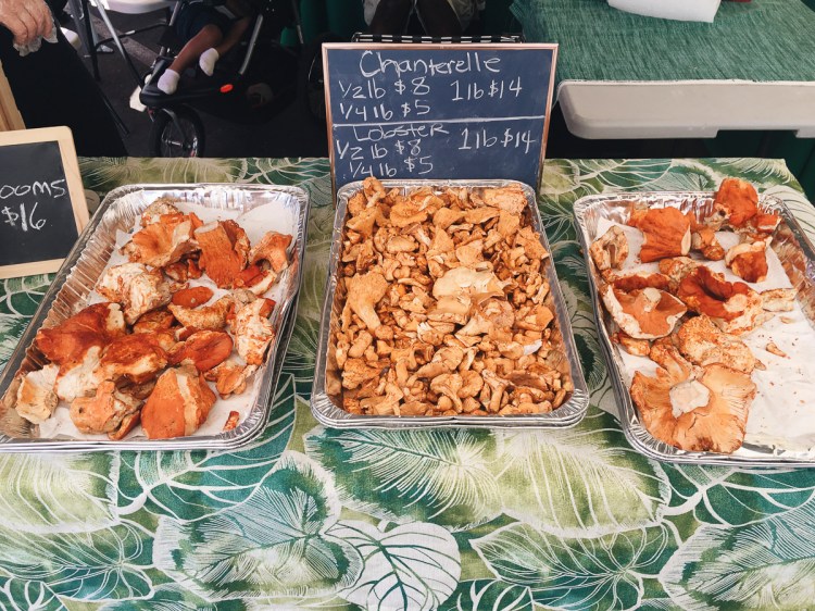 Processed with VSCO with a6 preset