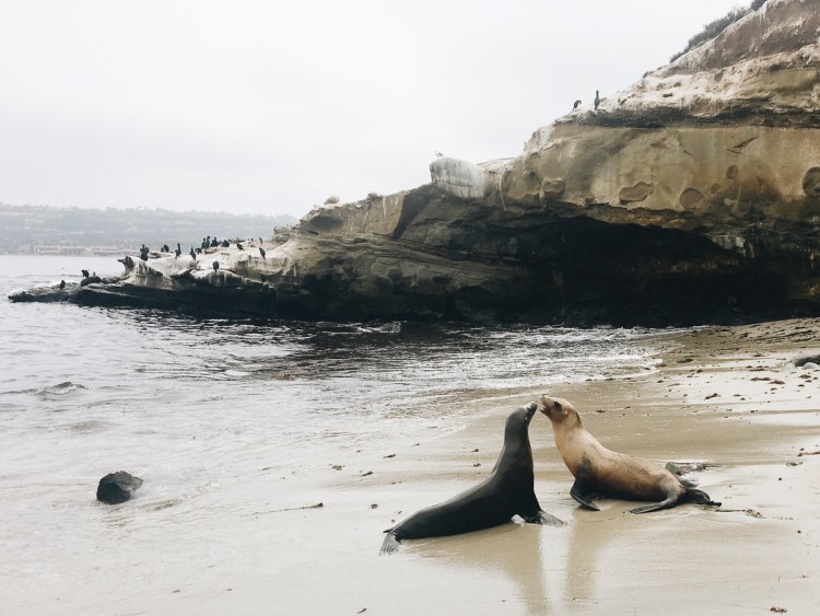 Processed with VSCO with a6 preset