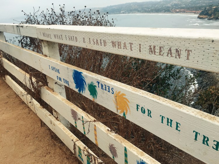 Processed with VSCO with kk1 preset