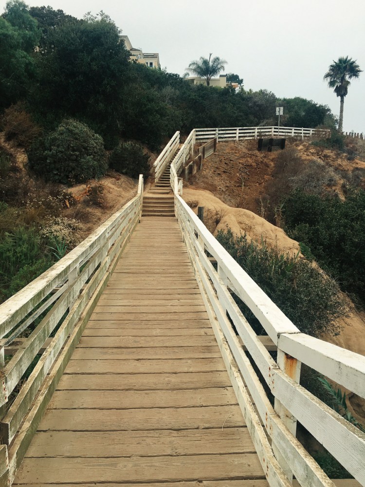 Processed with VSCO with kk1 preset