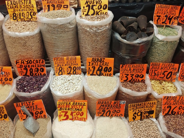 Processed with VSCO with kk1 preset