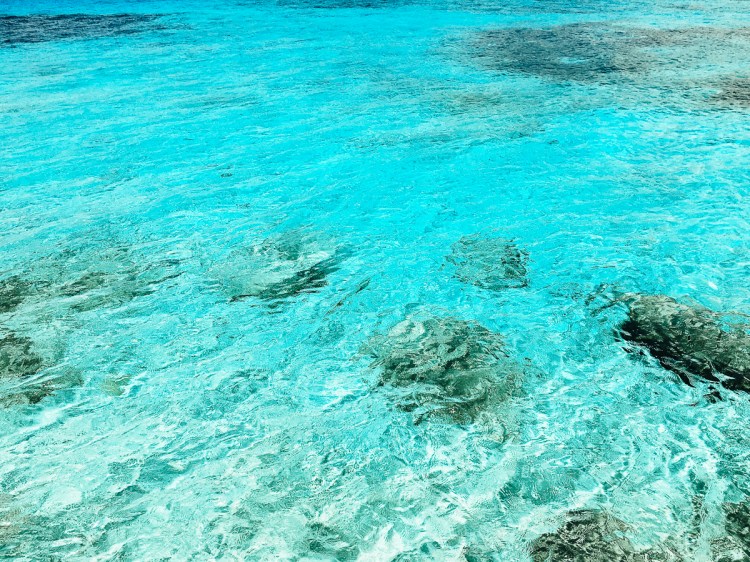 Processed with VSCO with kk1 preset