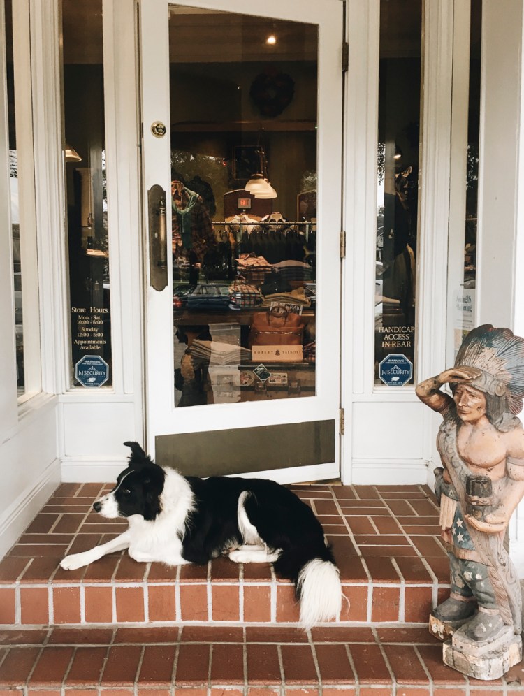 Processed with VSCO with a6 preset