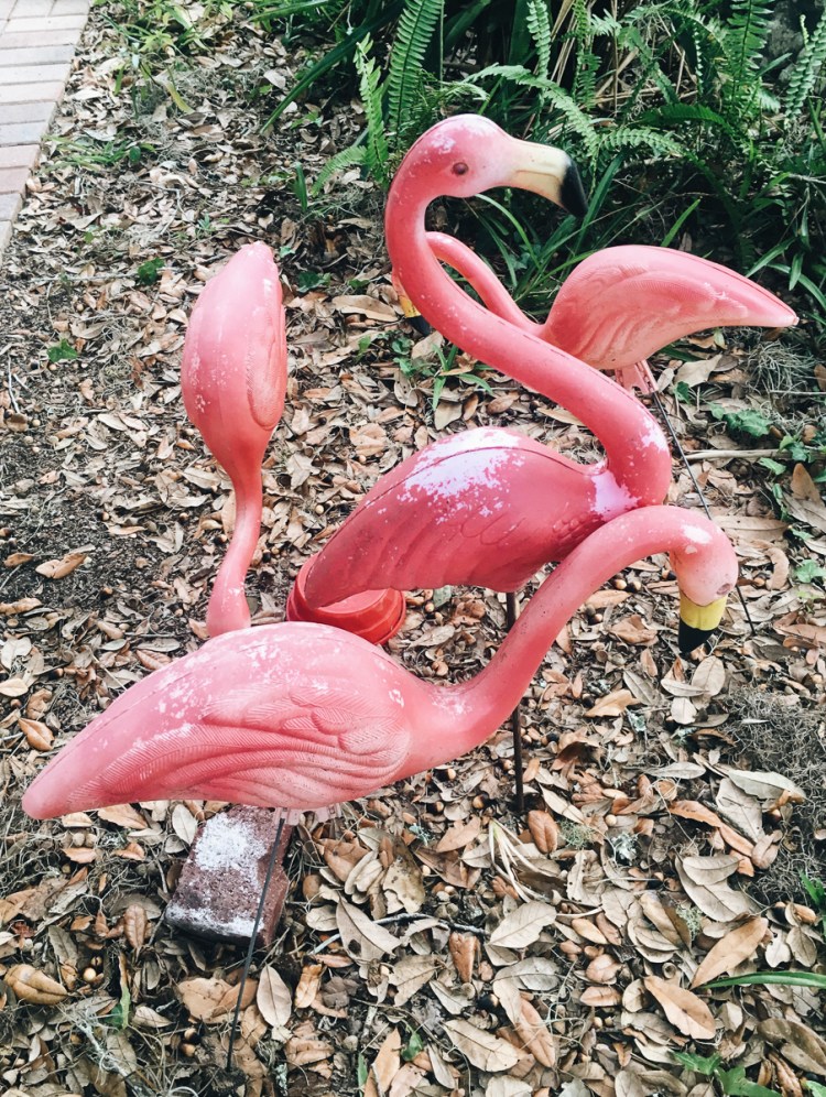 Processed with VSCO with a6 preset