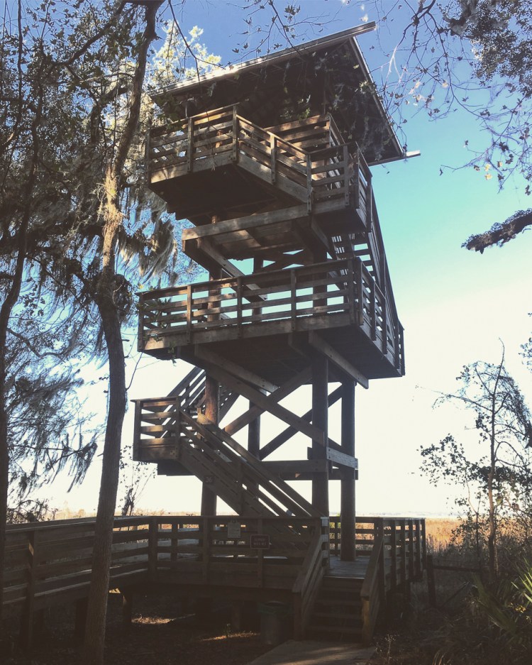 2017-01-08-15-19-19-2